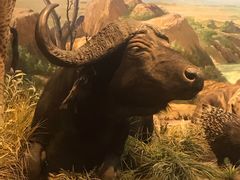 -陕西自然博物馆