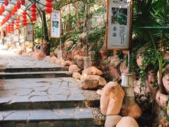 -观澜山水田园