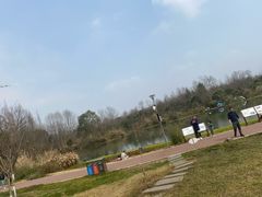 -桤木河湿地公园