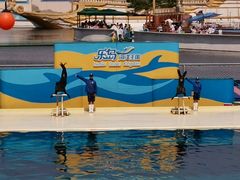 -秦皇岛乐岛海洋王国