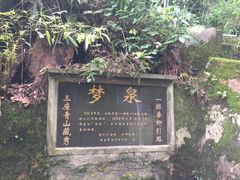 -南山植物园