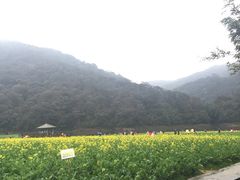 -广州市石门国家森林公园