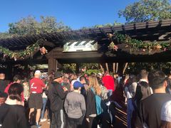 -奥兰多迪士尼动物王国乐园