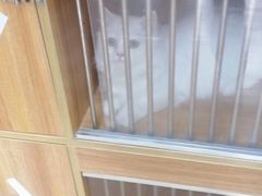-A猫a狗全科·犬猫异宠·芥西宠物医院(南开总院)