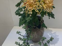 -汇龙潭