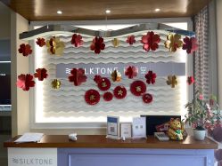 -SILKTONE诗丽堂美容