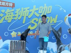 -沈阳方特欢乐世界