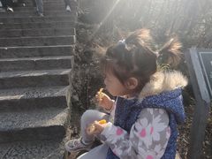 -紫金山山顶公园