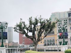 -澳门威尼斯人综合度假区