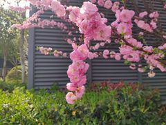 -丹东路渡口(轮渡站)