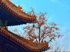 -雍和宫