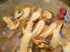 -蘑统田下·野生菌火锅