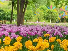 -郑州中国绿化博览园