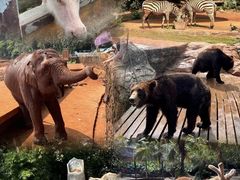 -海南热带野生动植物园