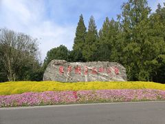 -东平国家森林公园