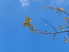 -南翔镇银翔湖公园