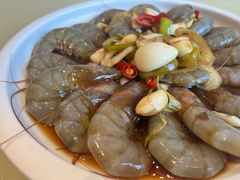-红星渔村(将军石店)
