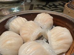 -金燕岛潮州酒楼