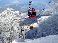 -中旅松花湖滑雪场