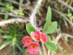 -昆明市金殿名胜区