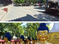 -护国法轮寺