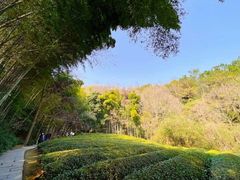 -敬亭山风景名胜区