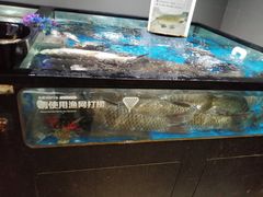 水产区-盒马鲜生(馥邦国际店)