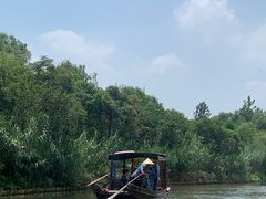 -溱湖国家湿地公园