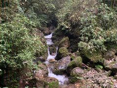景点-青城后山