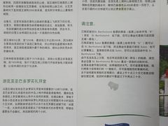 -柯尼希湖