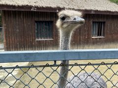 -上方山森林动物世界