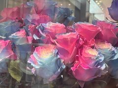 -ROSEONLY诺誓(广州K11店)