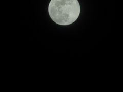 -葛记焖饼(伏牛路店)