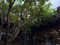 -VOYAGE COFFEE(杨梅竹店)
