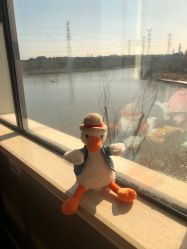 -卓玥国际月子会所(罗山路店)