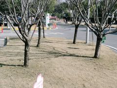 -上海永慈康复医院