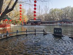 -百脉泉景区