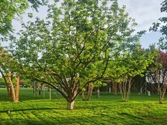 -春晖园度假酒店温泉