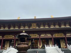 -庐山风景名胜区-东林大佛