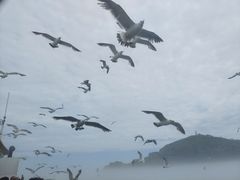 -海驴岛(荣成市)