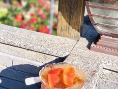 冰糖炖桃胶雪耳木瓜-周大娘牛乳(旧寨古村总店)