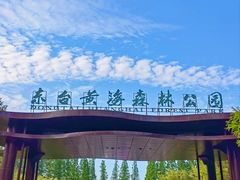 -黄海国家森林公园