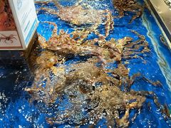 -盒马鲜生(首义店)