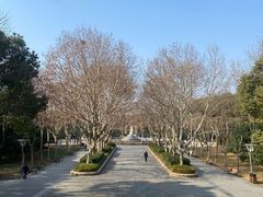 -蠡湖中央公园