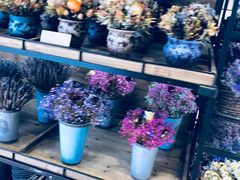 -L.C FLORA花予你(城西银泰城店)