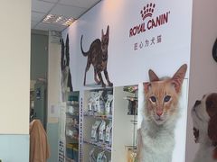 -瑞派申生动物医院·24H夜诊·国际动物医疗中心·骨外科(吴中路店)