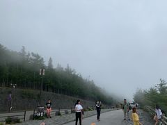 -富士山吉田線五合目