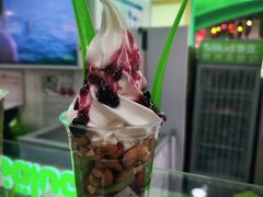 -Salud撒露欧洲冻酸奶(五道口购物中心店)