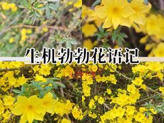 -亚龙湾中心广场