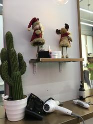 -茶发Salon·烫发染发理发